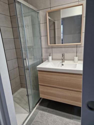 une salle de bain avec une douche, un lavabo et un miroir dans l'établissement Le 4.02 appartement proche du centre, à Lannion