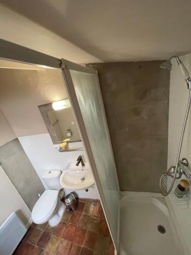 a bathroom with a toilet and a sink and a shower at Chambres d' hôtes l'Escalo à Moutiers-Ste-Marie (04360) in Moustiers-Sainte-Marie