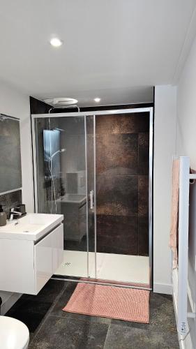 une salle de bain avec une douche, des toilettes et un lavabo dans l'établissement Appartement Le New-York, à Cholet