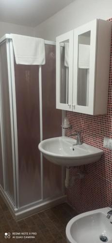 a bathroom with a sink and a shower at BELLA PRIMO PIANO in Forlì