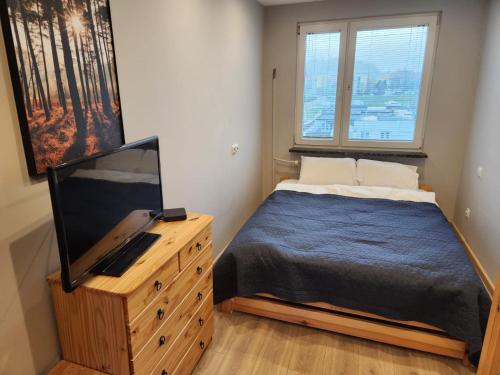 a bedroom with a bed and a tv on a dresser at City Sense - Apartament z widokiem na góry i miasto in Bielawa