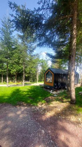 a small cabin in a field with trees at Tumba Sisli Vadi in Kartepe