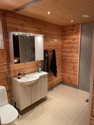ein Badezimmer mit einem Waschbecken, einem WC und Holzwänden in der Unterkunft Mökki Jyrkinkuja in Loimaa