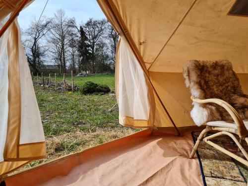 Øster Ulslev的住宿－Naturlig Viis，一只羊坐在帐篷里的椅子上