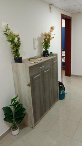 a kitchen with a counter with potted plants on it at Corniche ajman 2 in Ajman 