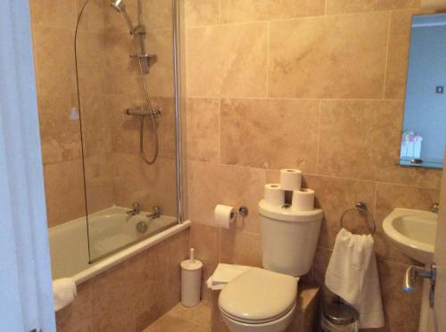 a bathroom with a shower and a toilet and a sink at Corbiere Phare Apartments in St. Brelade
