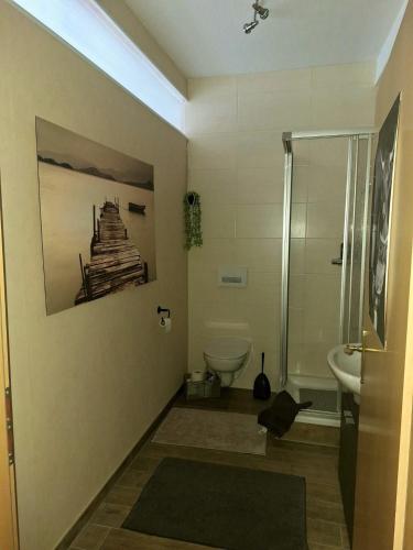 a bathroom with a shower and a toilet and a sink at Ferienwohnung Heinel in Bad Sulza