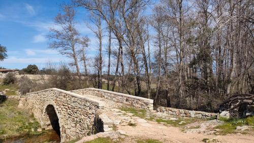 an old stone bridge in a field with trees at Alojamientos La Dehesa in El Berrueco
