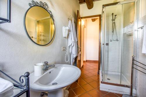 y baño con lavabo, ducha y espejo. en Glicine ad Antico Casale '700, en Umbertide
