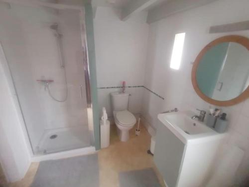 a bathroom with a shower and a toilet and a sink at Maison entre ville et campagne in Amilly