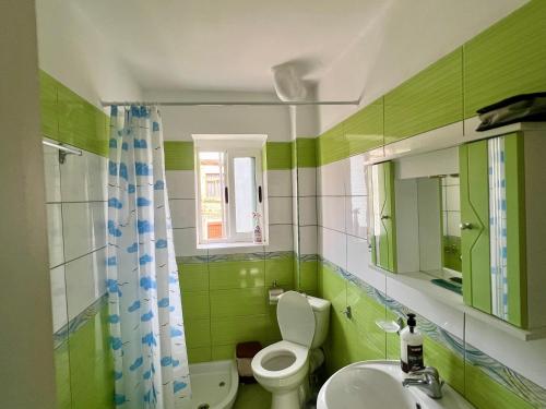 a green bathroom with a toilet and a sink at Guest House Dimos Kristi in Përmet