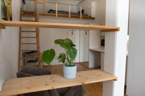 een tiny house met een hoogslaper en een plant bij Gemütliches Studio mit Hochbett im Herzen von Graz in Graz