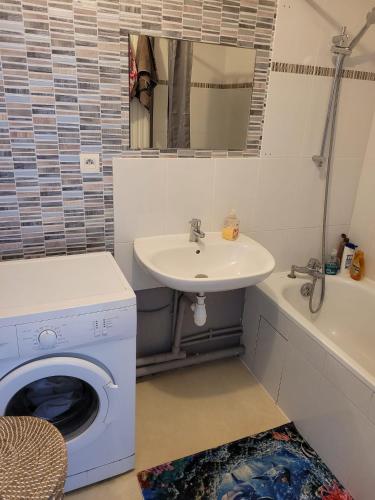 une salle de bain avec une machine à laver et un lavabo dans l'établissement Résidence sainte Géneviève, à Nanterre