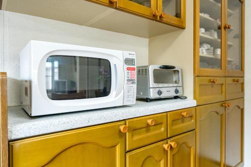 a microwave oven sitting on top of a kitchen counter at Guesthouse luluha 一棟貸し in Awatabe