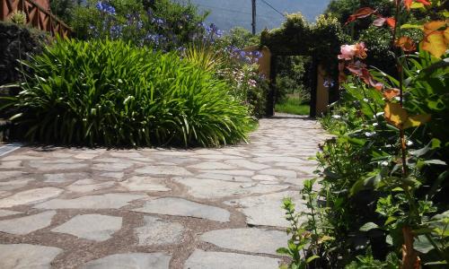 a stone walkway in a garden with plants at Rural Las Llanadas in Los Realejos
