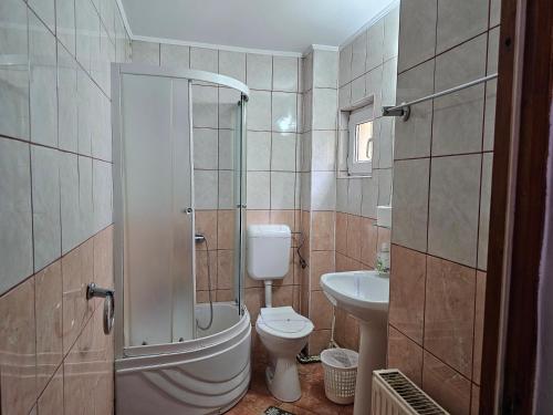 a bathroom with a shower and a toilet and a sink at Villa Foișor in Buşteni