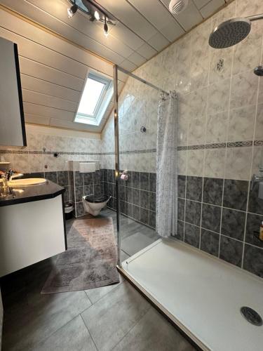 uma casa de banho com um chuveiro e um lavatório. em Le DaubenLand em Daubensand