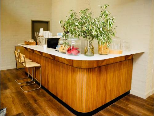 a counter with potted plants on top of it at Executive Studio Apartment in Sandton in Johannesburg