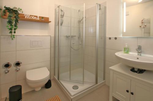 La salle de bains est pourvue d'une douche, de toilettes et d'un lavabo. dans l'établissement Gro_e Stra_e 19_ Whg_ 1, à Wyk auf Föhr
