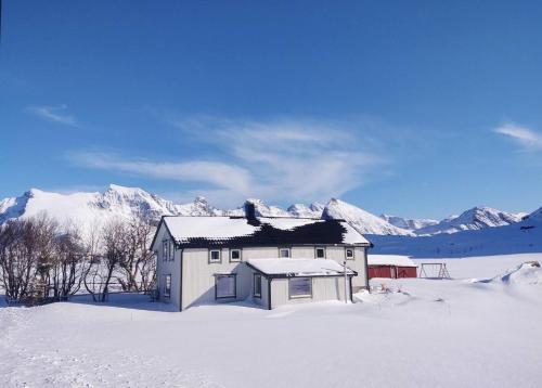 Fredvang Farm House, Lofoten v zimě