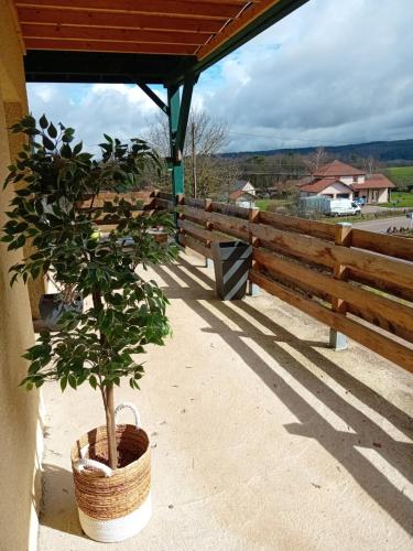 Raon-aux-BoisにあるLe gîte de la Racine "La Verte Vallée"のフェンスの横にあるバスケットに入った木