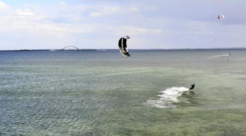 eine Person, die einen Drachen im Wasser fliegt in der Unterkunft Hafenglück - b63580 in Fehmarn