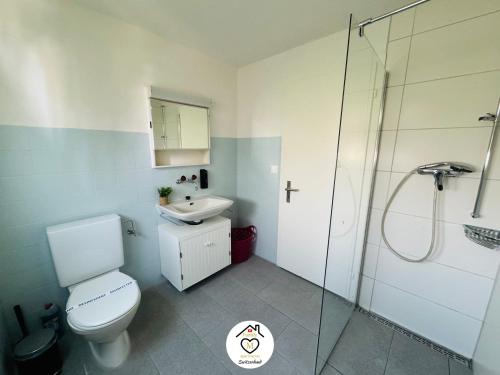 a bathroom with a toilet and a sink and a shower at Family M Apartments 7 in Sempach