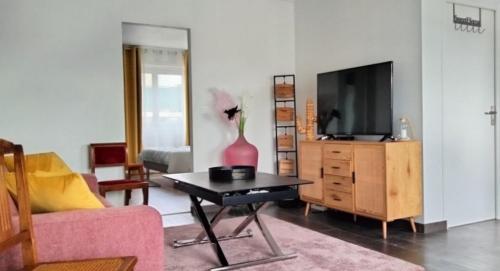 Televízia a/alebo spoločenská miestnosť v ubytovaní Appartement Pau