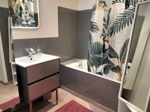 Salle de bains dans l'établissement Appartement Pau