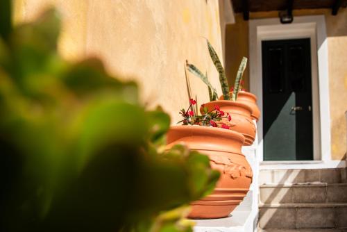 Fotografie z fotogalerie ubytování Mina's Art Loft with panoramic views v destinaci Fiolítis