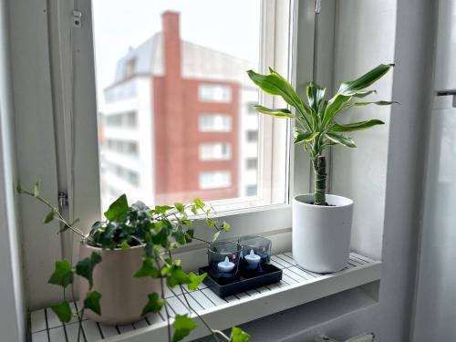 a window with plants and candles on a window sill at Bright & Cozy, Renovated Studio in the Lahti Center in Lahti