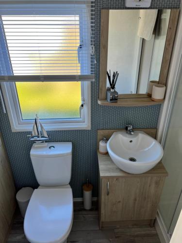 un baño con inodoro y lavabo en Platinum caravan holidays, en Port Seton