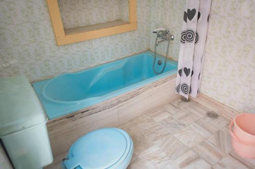 a bathroom with a toilet and a blue tub at Chopasani Room in Jodhpur