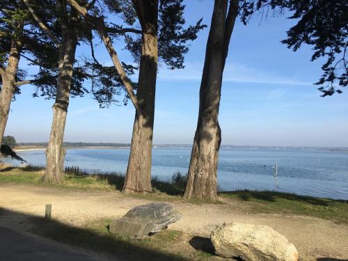 a group of trees and a body of water at Maison de paludier dans hameau de charme in Guérande