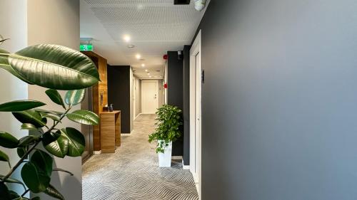 a hallway with potted plants in a building at Silver 39 Corner Hotel in Tbilisi City