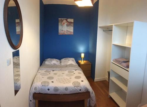 - une chambre bleue avec un lit et un miroir dans l'établissement Bel appartement à Dijon 2, à Dijon