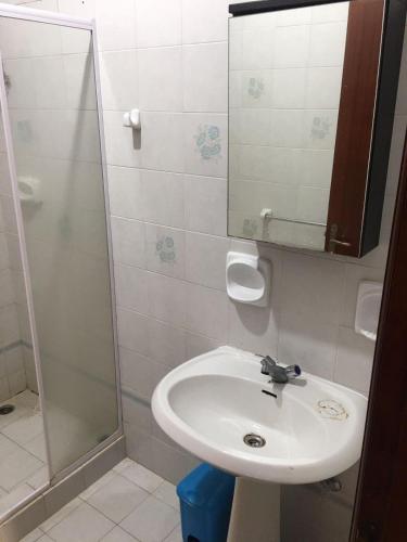 a bathroom with a sink and a shower at Luxery Apartment in Tuzla
