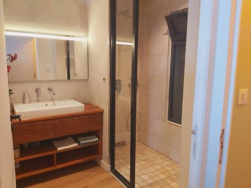 a bathroom with a sink and a shower with a mirror at Villa Céladon SPA chauffé 6 pers et vue panoramique sur l'Océan indien in Saint-Leu