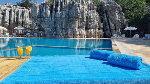 a pool at the disneyland resort at Wood Hills Hotel & Resort in Mayrūbā
