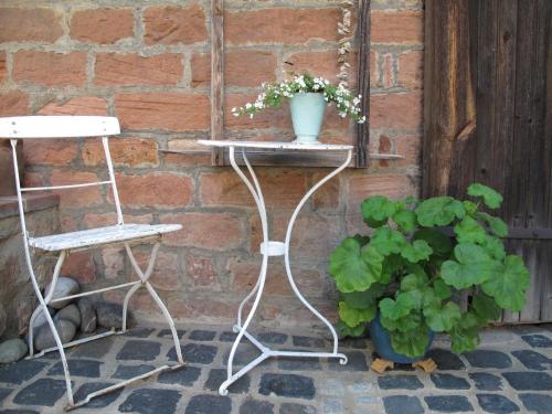 une plante assise sur une étagère à côté d’une plante dans l'établissement Ferienwohnung für 2 Personen ca 75 qm in Bessenbach, Bayern Franken, à Straßbessenbach