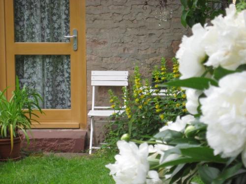eine Bank vor einer Tür mit weißen Blumen in der Unterkunft Studio für 2 Personen ca 75 qm in Bessenbach, Bayern Franken in Straßbessenbach
