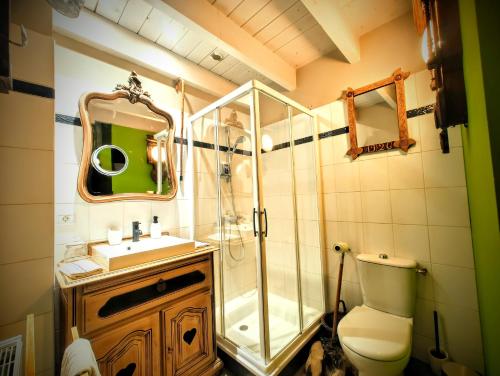 a bathroom with a shower and a toilet and a sink at Le Belvédère : chambres et table d'hôtes in Montmélian