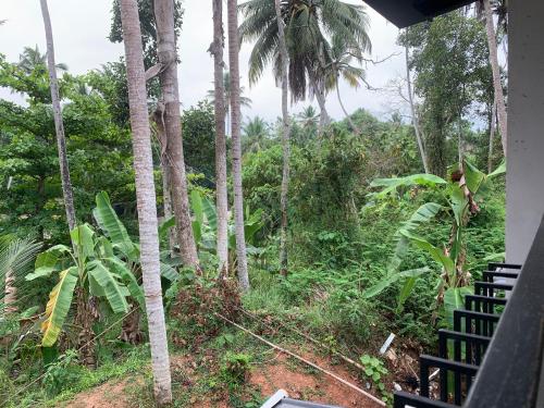 Un jardín fuera de Nirvana Home stay TVM -allure
