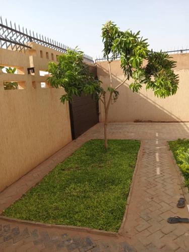 a small tree in a yard next to a building at Kalinou Niamey in Niamey