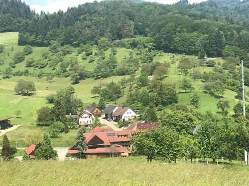a house in the middle of a green hill at Sonniges, freistehendes Ferienhaus im Südschwarzwald für Dich ganz allein in Hasel