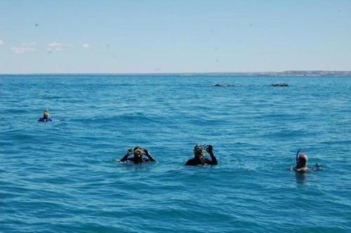 Φυσικό τοπίο κοντά σε αυτή η παραθεριστική κατοικία