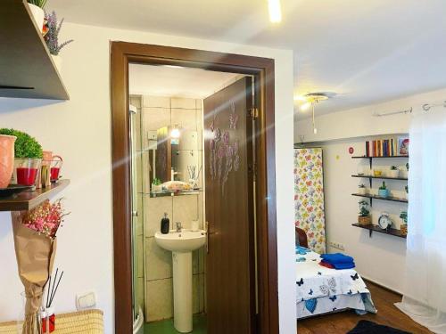 Ένα μπάνιο στο Andu Apartament