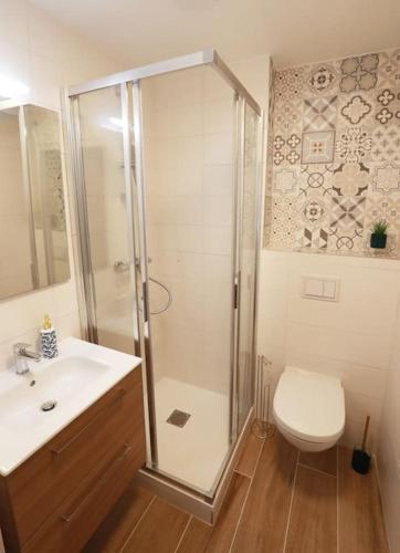 une salle de bain avec une douche, des toilettes et un lavabo dans l'établissement Studio centre historique Thonon, à Thonon-les-Bains