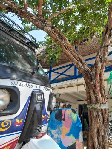 une camionnette garée devant un arbre dans l'établissement Taida Hostel Rincon del Mar, à Rincón
