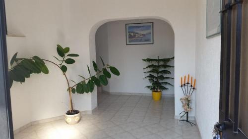 een hal met een potplant in een kamer bij Ferienwohnung für vier Personen mit Terrasse und Meerblick in Ližnjan
